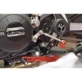 DBK Special Parts (Ducabike) Shift Lever for the Diavel 1260 DBK Special Parts (Ducabike) Shift Lever for the Diavel 1260